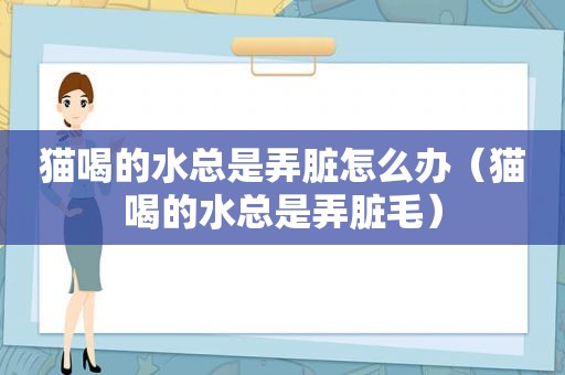 猫喝的水总是弄脏怎么办（猫喝的水总是弄脏毛）