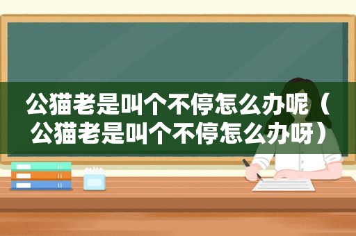 公猫老是叫个不停怎么办呢（公猫老是叫个不停怎么办呀）