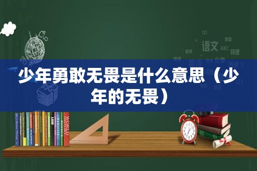 少年勇敢无畏是什么意思（少年的无畏）