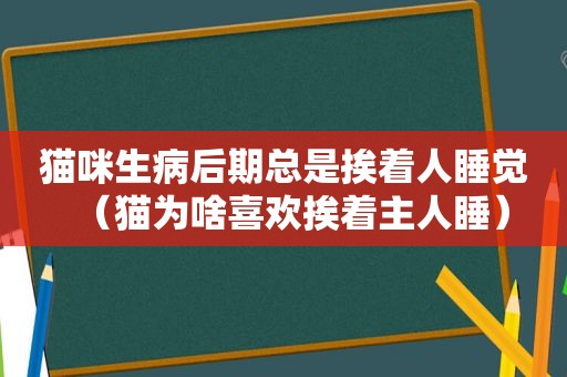 猫咪生病后期总是挨着人睡觉（猫为啥喜欢挨着主人睡）