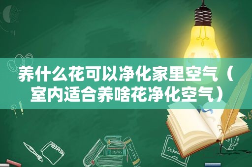 养什么花可以净化家里空气（室内适合养啥花净化空气）