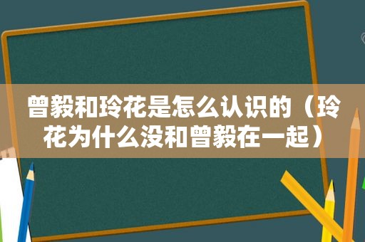 曾毅和玲花是怎么认识的（玲花为什么没和曾毅在一起）