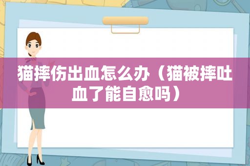 猫摔伤出血怎么办（猫被摔吐血了能自愈吗）