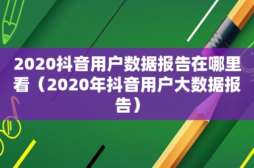 2020抖音用户数据报告在哪里看（2020年抖音用户大数据报告）