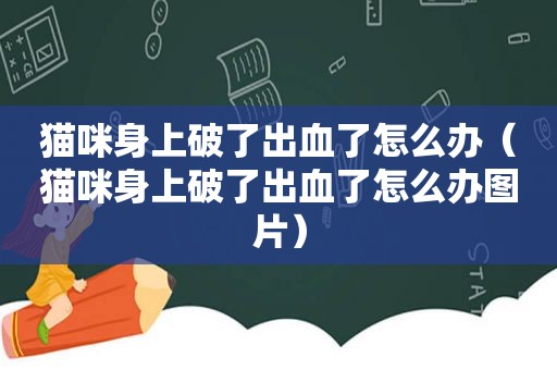 猫咪身上破了出血了怎么办（猫咪身上破了出血了怎么办图片）