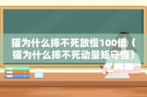 猫为什么摔不死放慢100倍（猫为什么摔不死动量矩守恒）