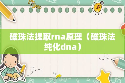 磁珠法提取rna原理（磁珠法纯化dna）