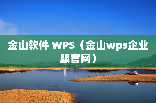 金山软件 WPS（金山wps企业版官网）