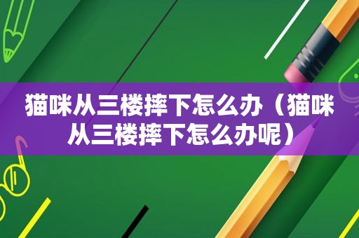 猫咪从三楼摔下怎么办（猫咪从三楼摔下怎么办呢）