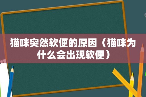 猫咪突然软便的原因（猫咪为什么会出现软便）