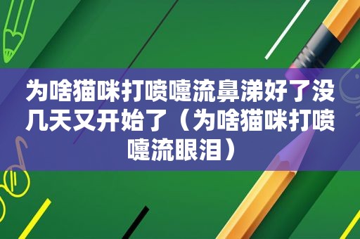 为啥猫咪打喷嚏流鼻涕好了没几天又开始了（为啥猫咪打喷嚏流眼泪）