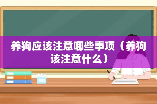 养狗应该注意哪些事项（养狗该注意什么）