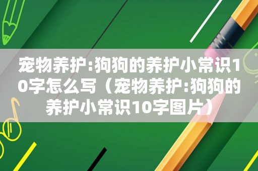 宠物养护:狗狗的养护小常识10字怎么写（宠物养护:狗狗的养护小常识10字图片）