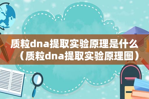 质粒dna提取实验原理是什么（质粒dna提取实验原理图）