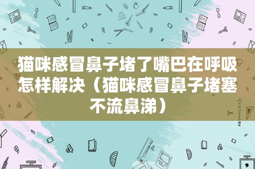 猫咪感冒鼻子堵了嘴巴在呼吸怎样解决（猫咪感冒鼻子堵塞不流鼻涕）