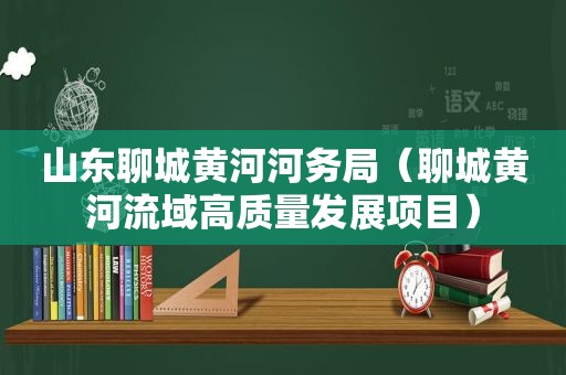 山东聊城黄河河务局（聊城黄河流域高质量发展项目）