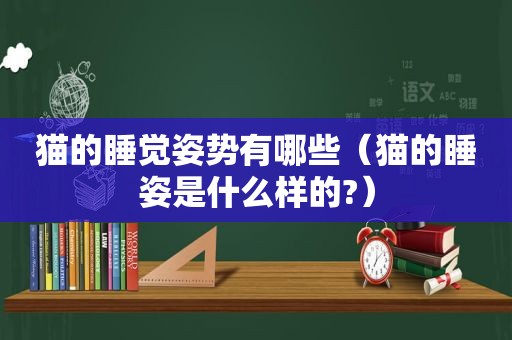 猫的睡觉姿势有哪些（猫的睡姿是什么样的?）