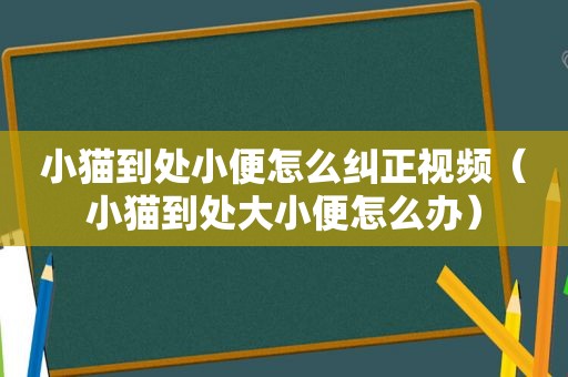 小猫到处小便怎么纠正视频（小猫到处大小便怎么办）