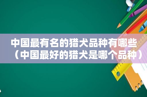 中国最有名的猎犬品种有哪些（中国最好的猎犬是哪个品种）