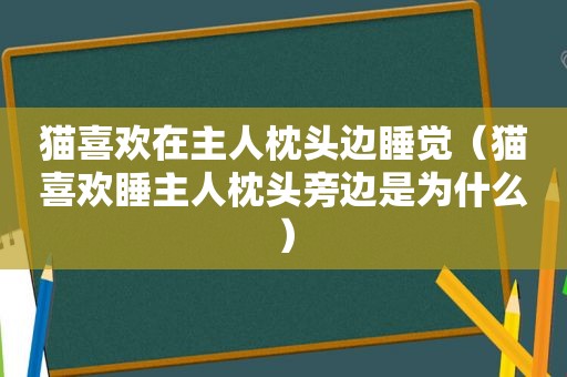 猫喜欢在主人枕头边睡觉（猫喜欢睡主人枕头旁边是为什么）