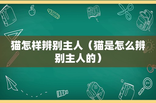 猫怎样辨别主人（猫是怎么辨别主人的）