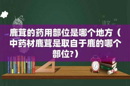 鹿茸的药用部位是哪个地方（中药材鹿茸是取自于鹿的哪个部位?）