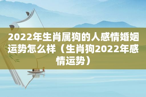 2022年生肖属狗的人感情婚姻运势怎么样（生肖狗2022年感情运势）