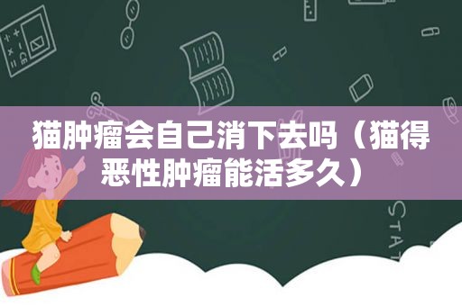 猫肿瘤会自己消下去吗（猫得恶性肿瘤能活多久）