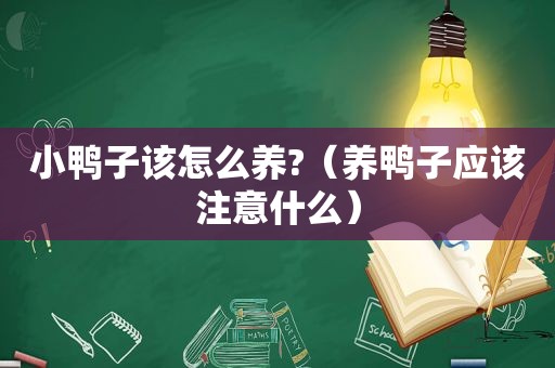 小鸭子该怎么养?（养鸭子应该注意什么）