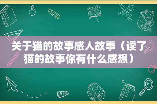 关于猫的故事感人故事（读了猫的故事你有什么感想）