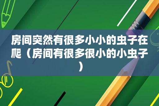 房间突然有很多小小的虫子在爬（房间有很多很小的小虫子）