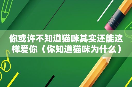 你或许不知道猫咪其实还能这样爱你（你知道猫咪为什么）