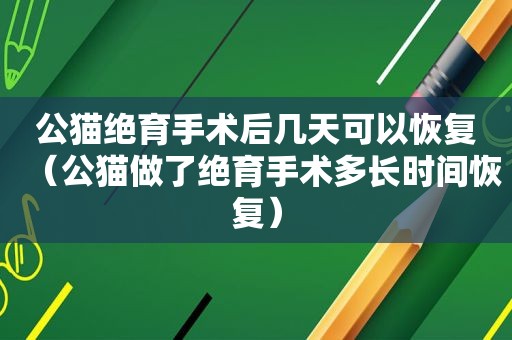 公猫绝育手术后几天可以恢复（公猫做了绝育手术多长时间恢复）