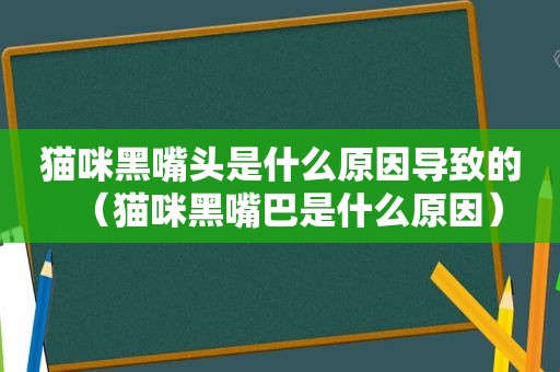 猫咪黑嘴头是什么原因导致的（猫咪黑嘴巴是什么原因）