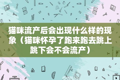 猫咪流产后会出现什么样的现象（猫咪怀孕了跑来跑去跳上跳下会不会流产）