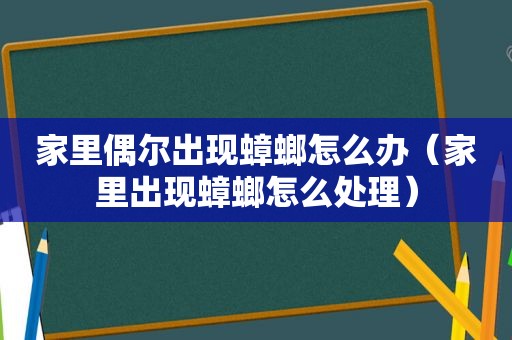 家里偶尔出现蟑螂怎么办（家里出现蟑螂怎么处理）