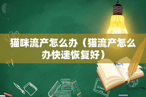 猫咪流产怎么办（猫流产怎么办快速恢复好）