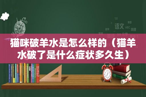 猫咪破羊水是怎么样的（猫羊水破了是什么症状多久生）