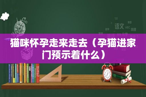 猫咪怀孕走来走去（孕猫进家门预示着什么）