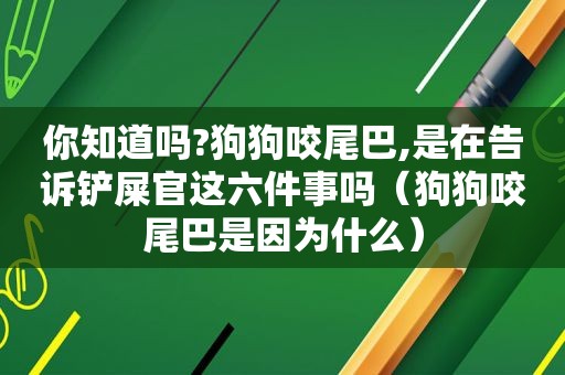 你知道吗?狗狗咬尾巴,是在告诉铲屎官这六件事吗（狗狗咬尾巴是因为什么）