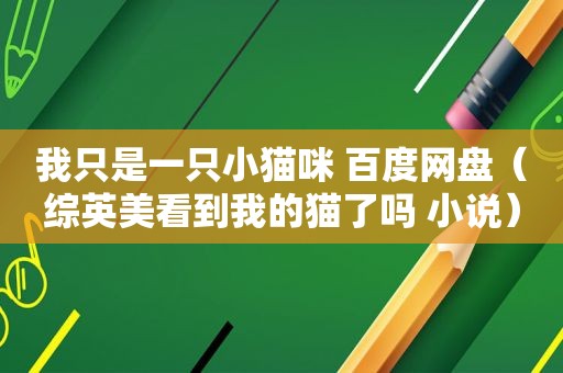 我只是一只小猫咪 百度网盘（综英美看到我的猫了吗 小说）