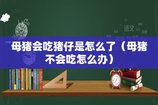 母猪会吃猪仔是怎么了（母猪不会吃怎么办）