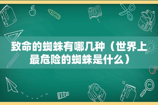 致命的蜘蛛有哪几种（世界上最危险的蜘蛛是什么）