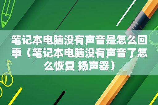 笔记本电脑没有声音是怎么回事（笔记本电脑没有声音了怎么恢复 扬声器）