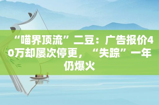 “喵界顶流”二豆：广告报价40万却屡次停更，“失踪”一年仍爆火