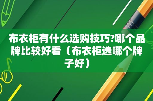 布衣柜有什么选购技巧?哪个品牌比较好看（布衣柜选哪个牌子好）