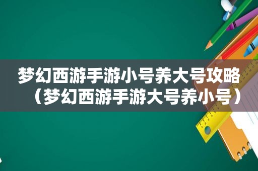 梦幻西游手游小号养大号攻略（梦幻西游手游大号养小号）