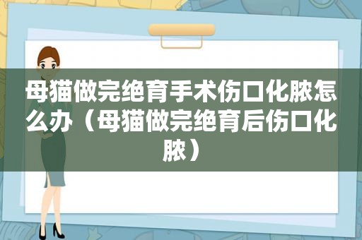 母猫做完绝育手术伤口化脓怎么办（母猫做完绝育后伤口化脓）