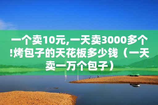 一个卖10元,一天卖3000多个!烤包子的天花板多少钱（一天卖一万个包子）