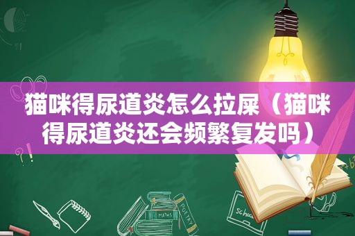 猫咪得尿道炎怎么拉屎（猫咪得尿道炎还会频繁复发吗）